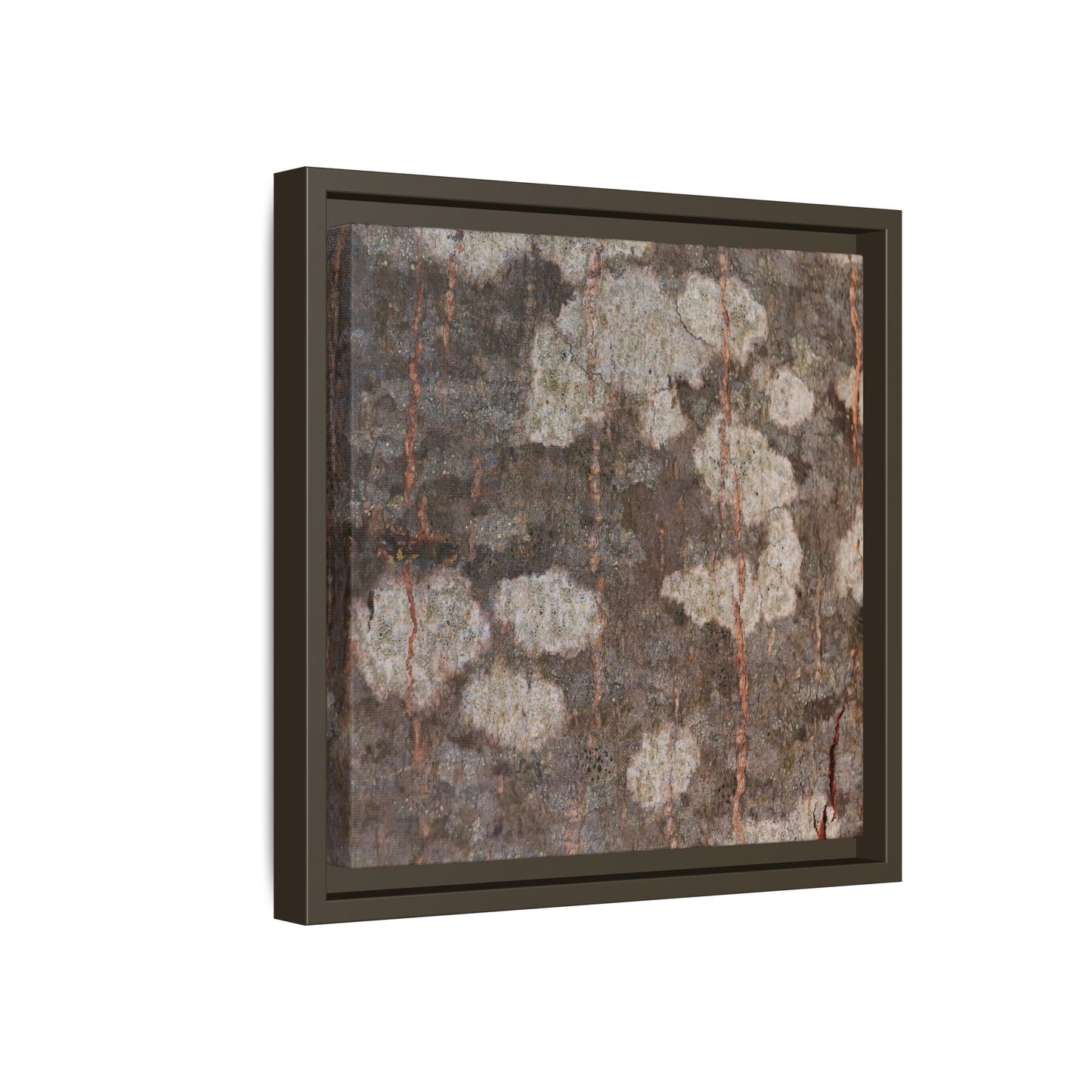 Lichen's Legacy - Unique Stretched Canvas Wall Art - Art By Earth