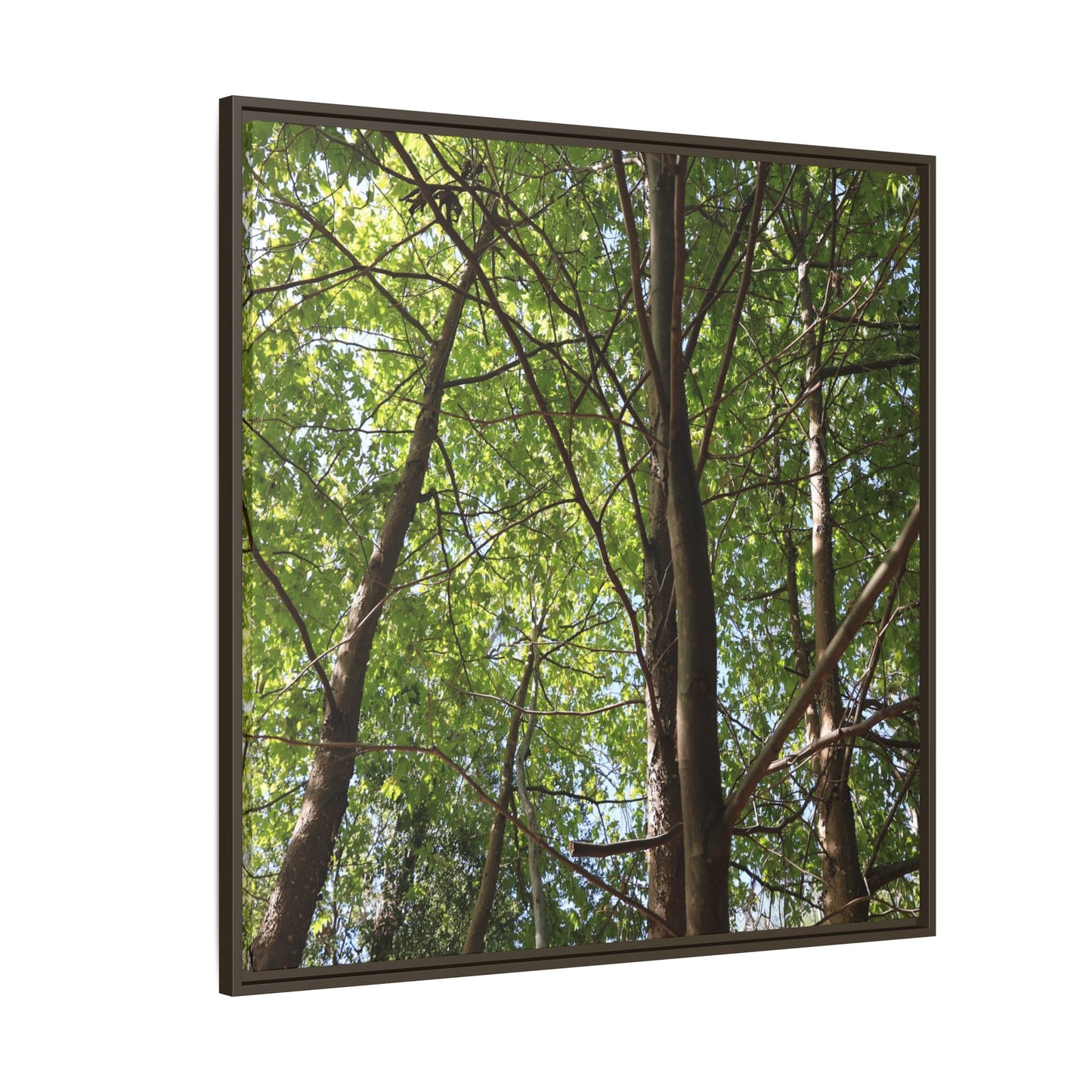 Forest Branches - Unique Stretched Canvas Wall Art