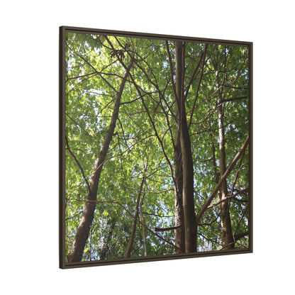 Forest Branches - Unique Stretched Canvas Wall Art