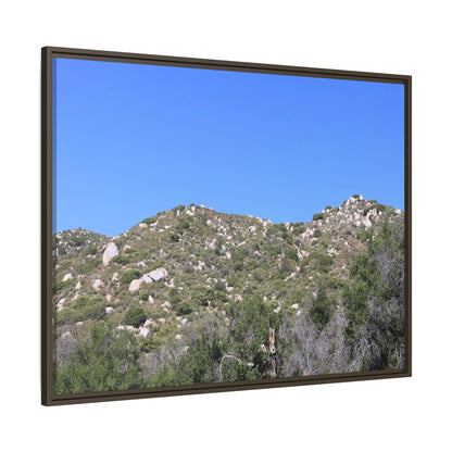 Sparse Vegetation - Unique Stretched Canvas Wall Art