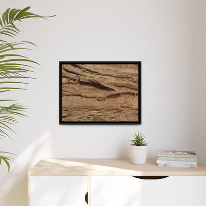 Splintered Bark - Unique Stretched Canvas Wall Art - Art By Earth