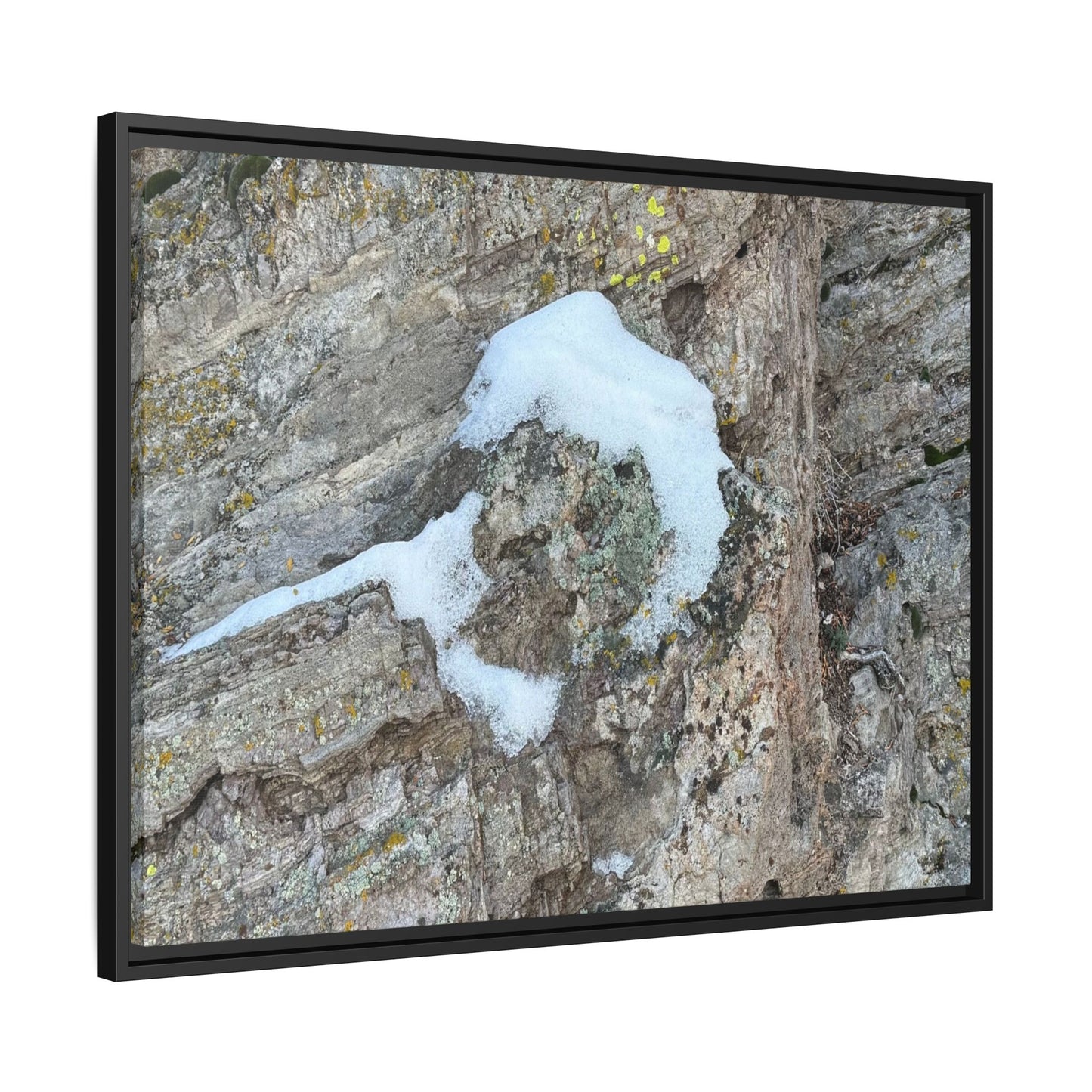 Lichen's Embrace - Unique Stretched Canvas Wall Art