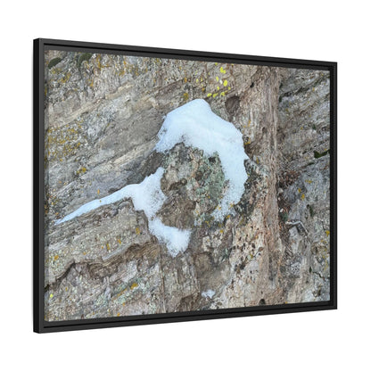 Lichen's Embrace - Unique Stretched Canvas Wall Art