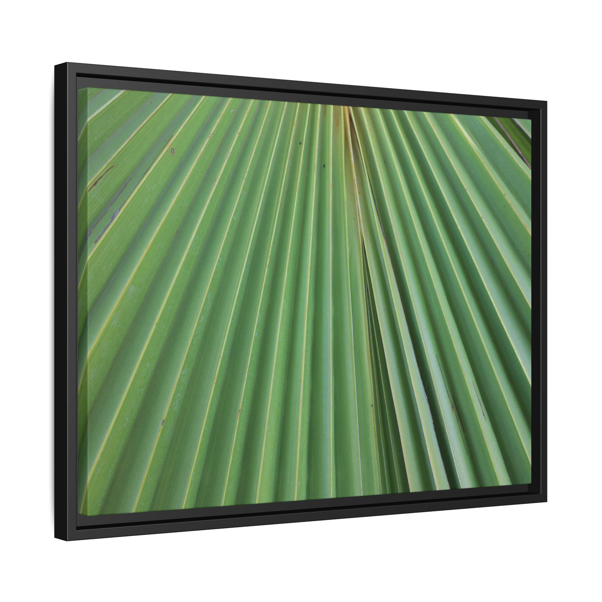 Verdant Veins - Unique Stretched Canvas Wall Art - Art By Earth