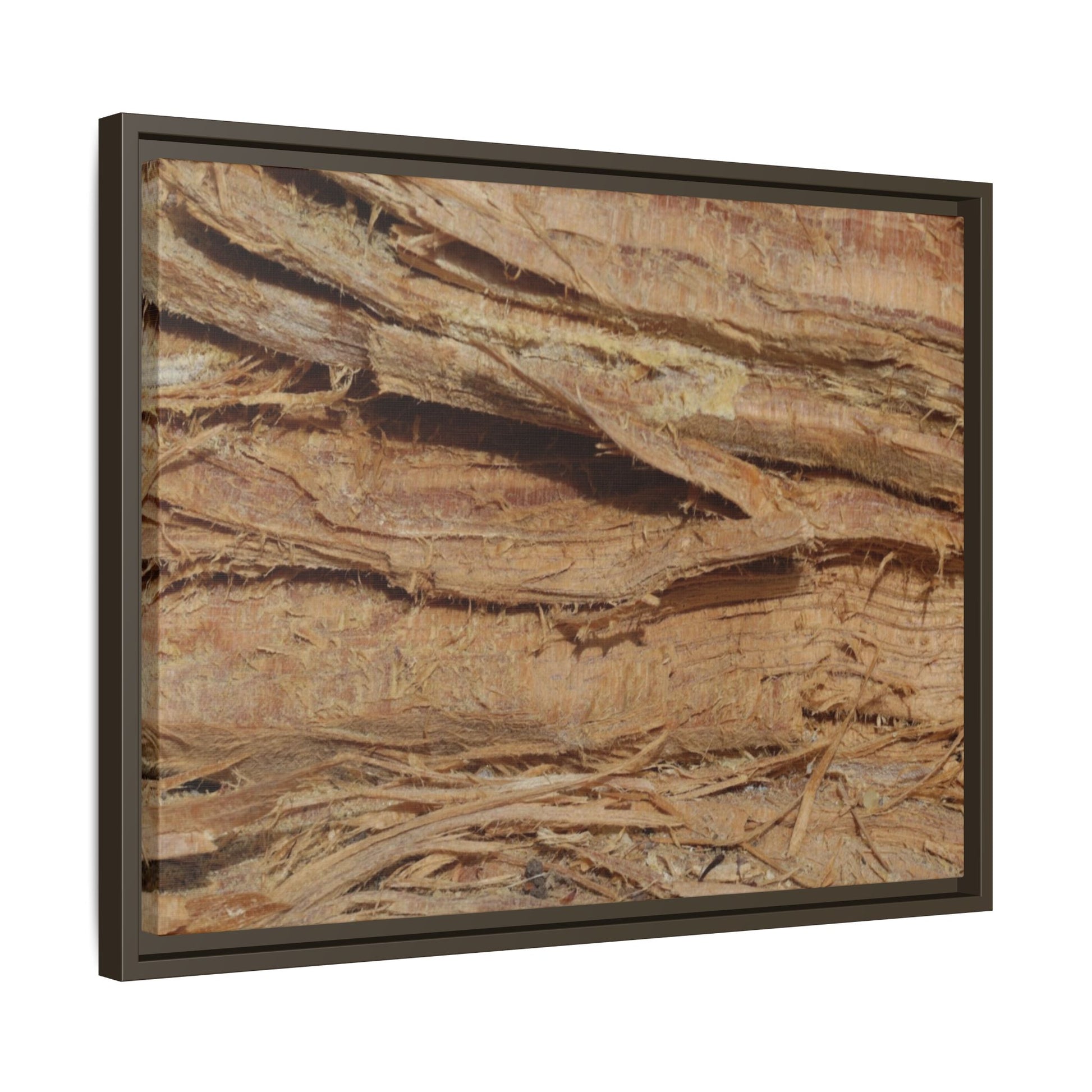 Splintered Bark - Unique Stretched Canvas Wall Art - Art By Earth