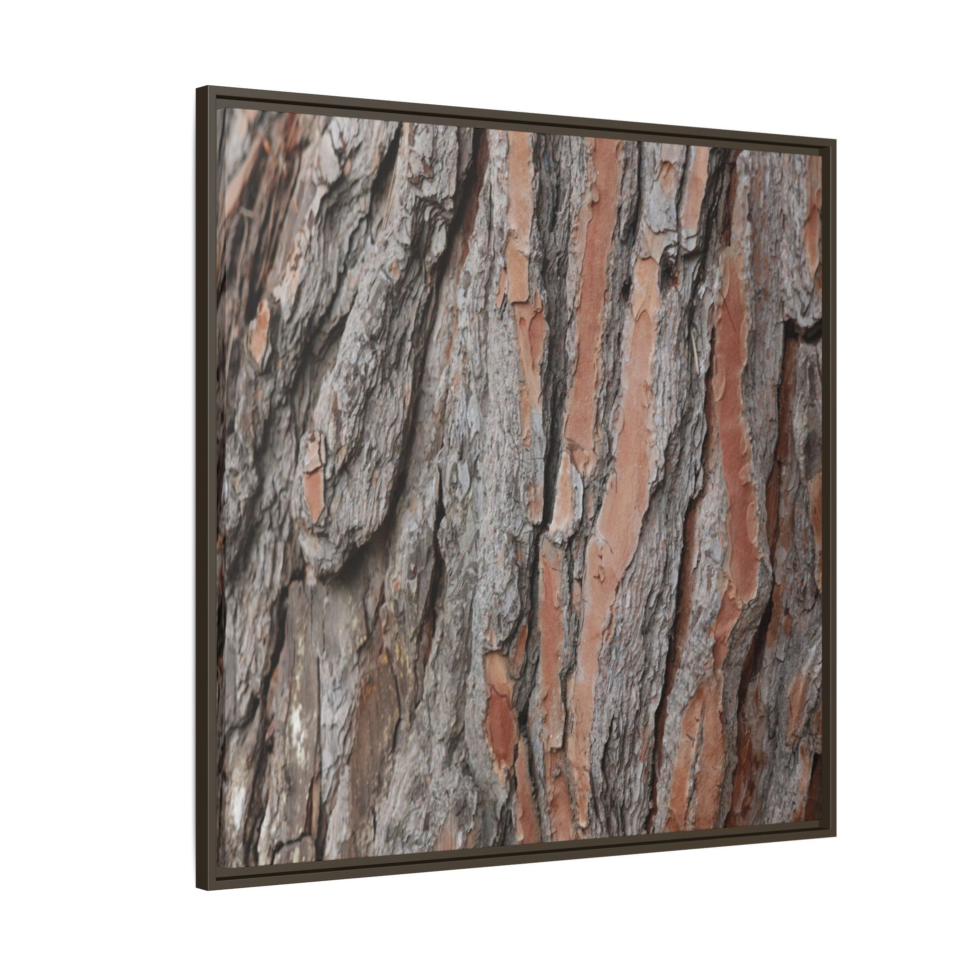 Woodland Layers - Unique Stretched Canvas Wall Art - Art By Earth
