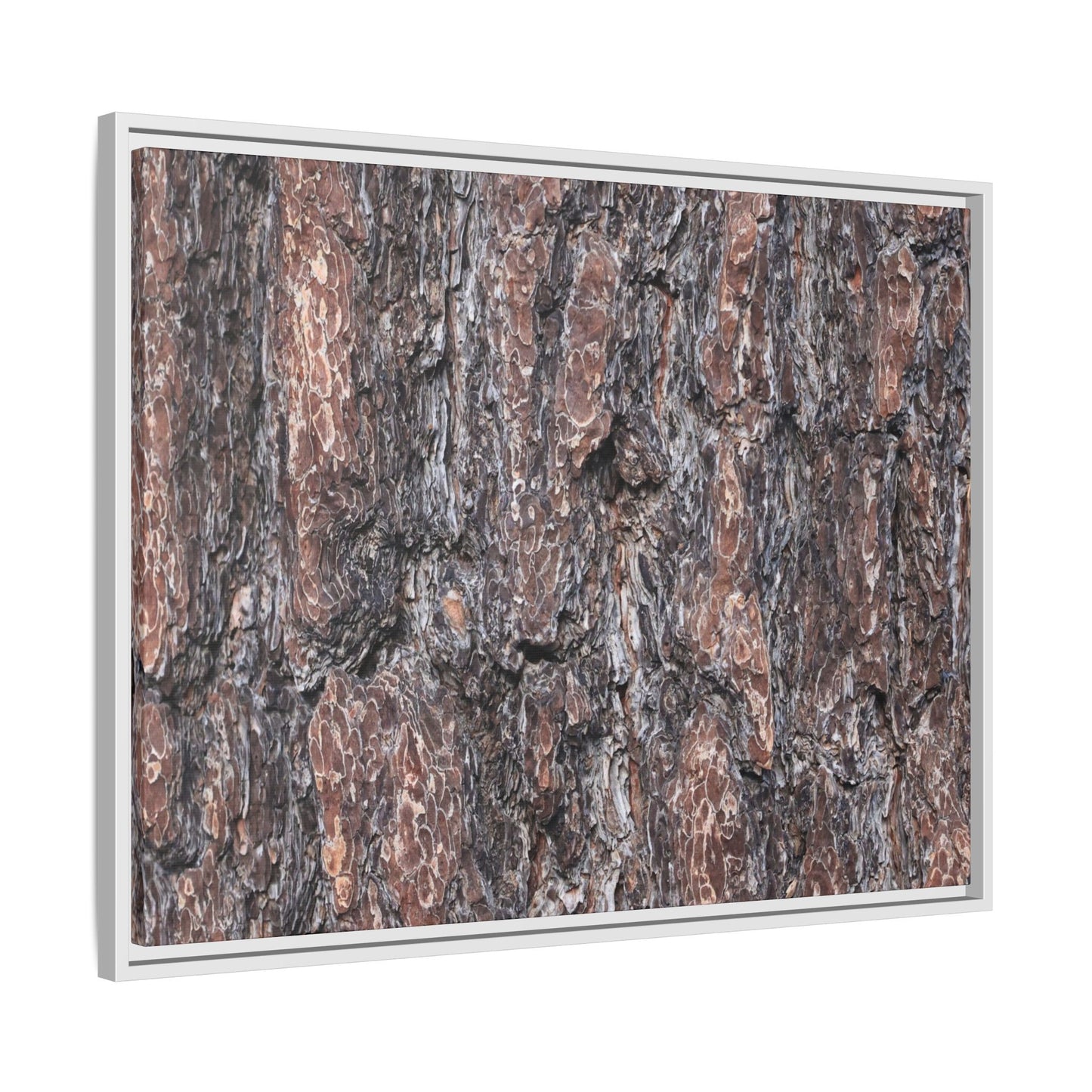 Echoes of Wood - Unique Stretched Canvas Wall Art