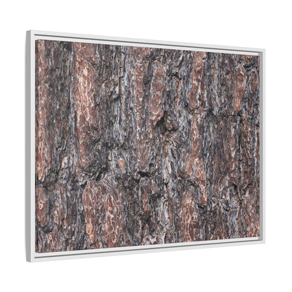 Echoes of Wood - Unique Stretched Canvas Wall Art