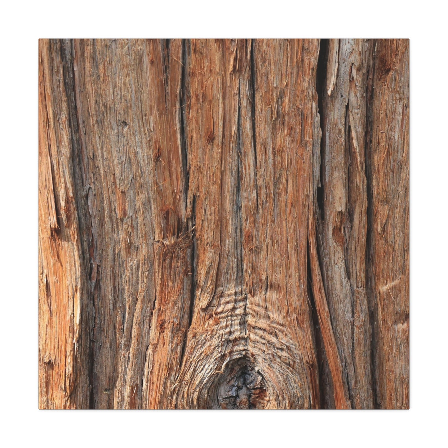 Bark's Ancient Whispers - Unique Frameless Canvas Wall Art - Art By Earth