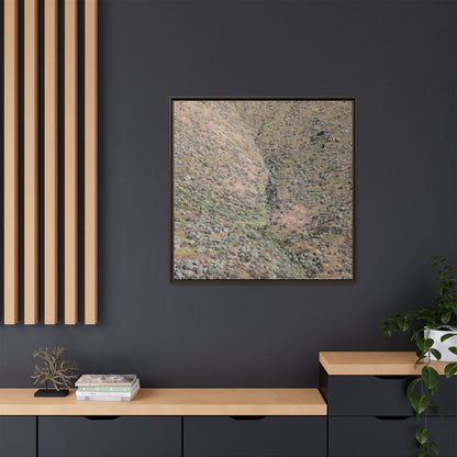 Mountain Slope with Desert Vegetation - Unique Stretched Canvas Wall Art - Art By Earth