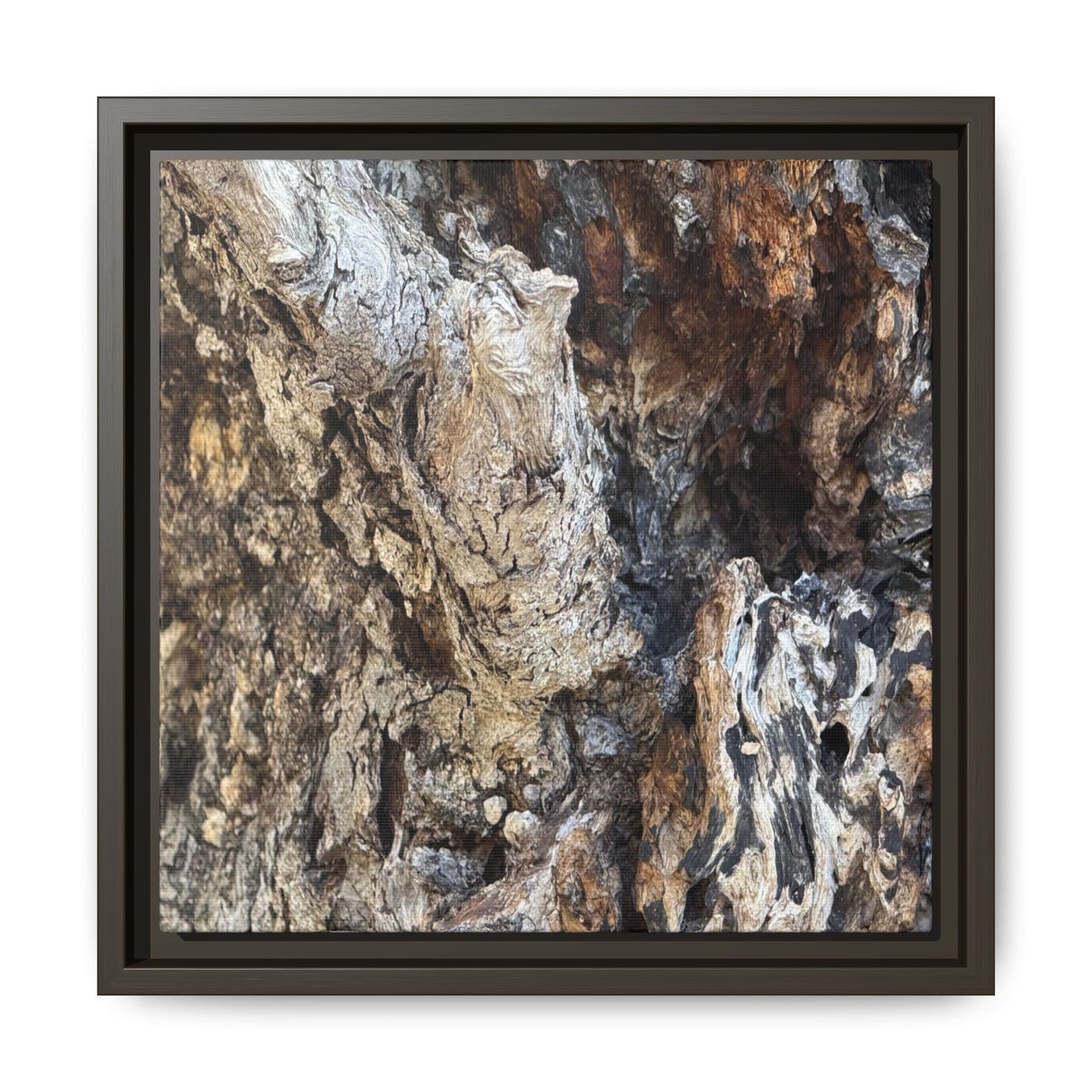 Ancient Tree Texture - Unique Stretched Canvas Wall Art - Art By Earth
