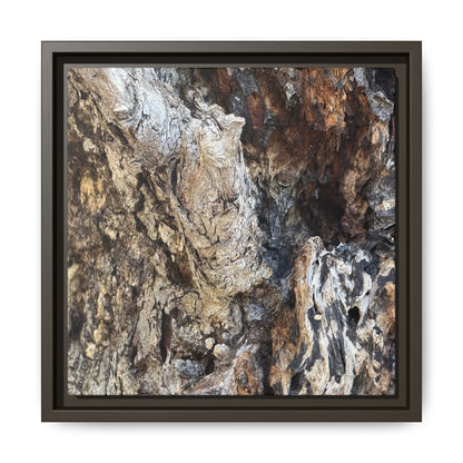 Ancient Tree Texture - Unique Stretched Canvas Wall Art - Art By Earth