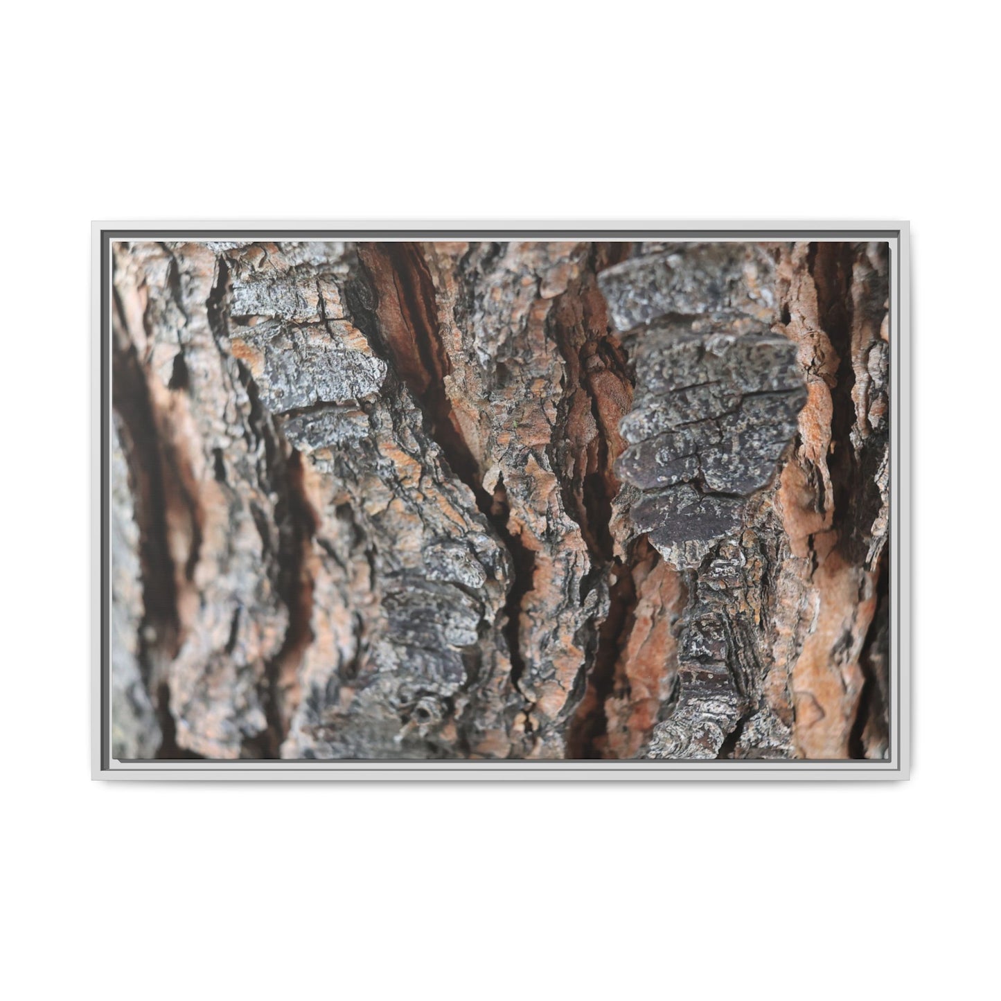 Fractured Nature - Unique Stretched Canvas Wall Art - Art By Earth