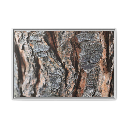 Fractured Nature - Unique Stretched Canvas Wall Art - Art By Earth