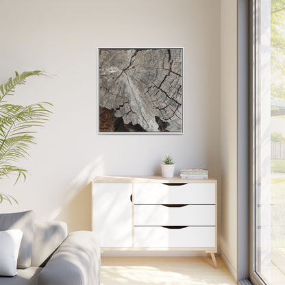 Time's Signature - Unique Stretched Canvas Wall Art - Art By Earth