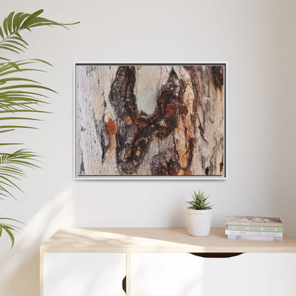 Texture of Time - Unique Stretched Canvas Wall Art - Art By Earth
