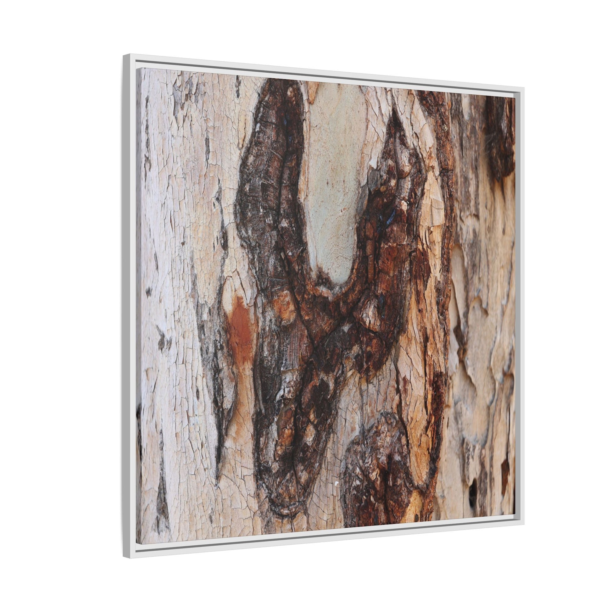 Texture of Time - Unique Stretched Canvas Wall Art - Art By Earth