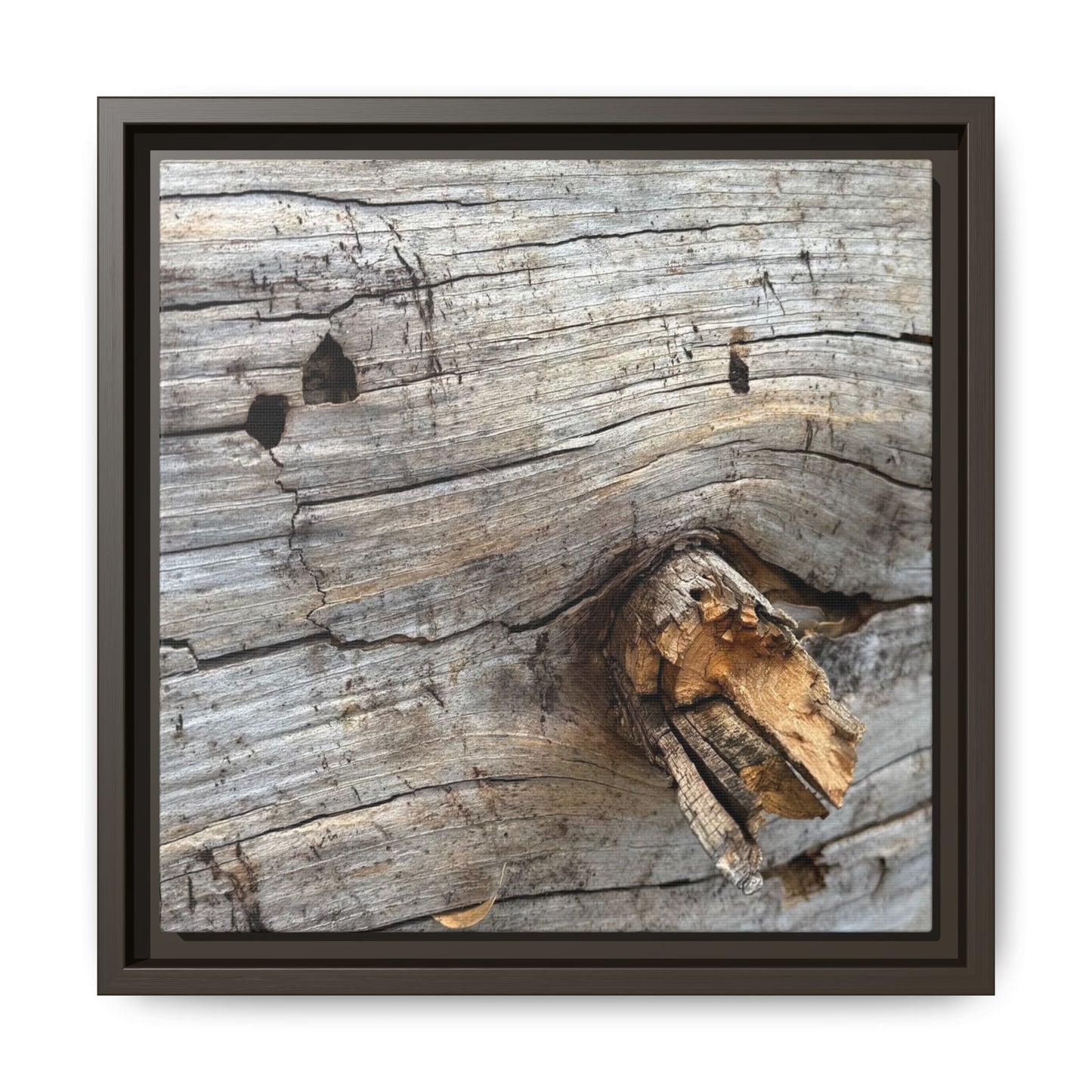 Weathered Wood Texture - Unique Stretched Canvas Wall Art - Art By Earth