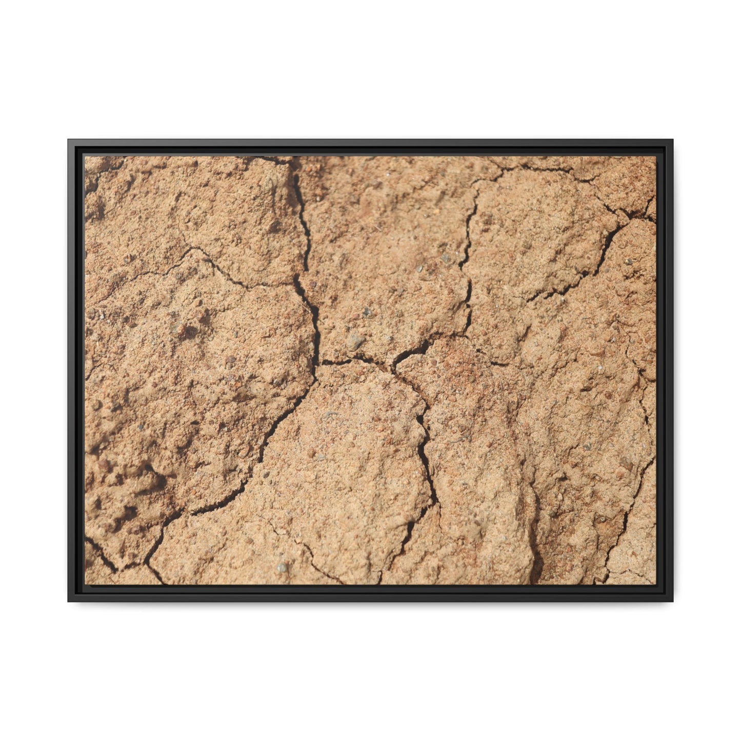 Parched Land - Unique Stretched Canvas Wall Art - Art By Earth