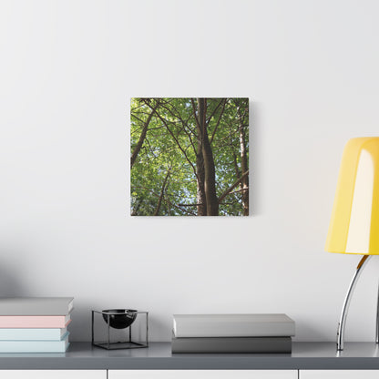 Canopy of Light - Unique Frameless Canvas Wall Art