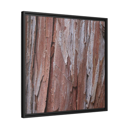 Time and Decay - Unique Stretched Canvas Wall Art - Art By Earth