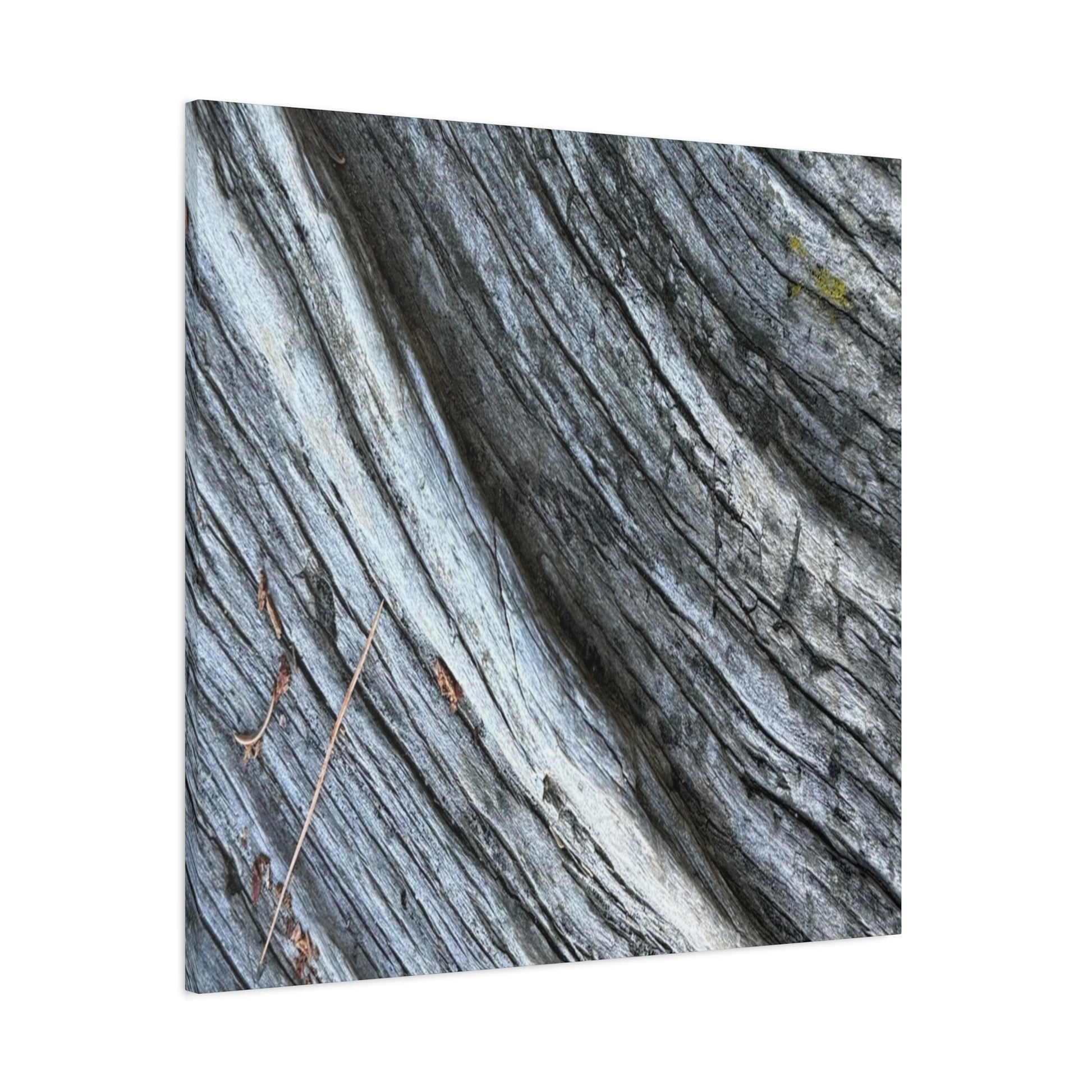 Weathered Wood Grain - Unique Frameless Canvas Wall Art - Art By Earth