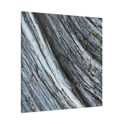 Weathered Wood Grain - Unique Frameless Canvas Wall Art - Art By Earth