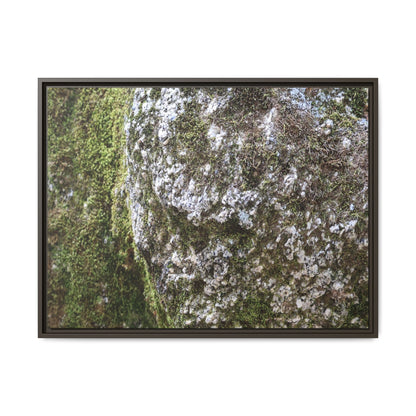 Lichen Landscape - Unique Stretched Canvas Wall Art - Art By Earth