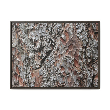 Bark Texture Symphony - Unique Stretched Canvas Wall Art - Art By Earth
