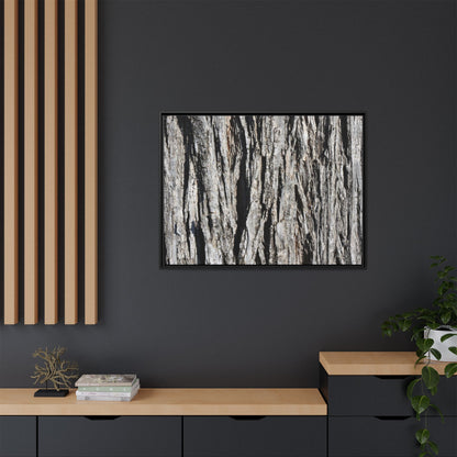 Bark Lines - Unique Stretched Canvas Wall Art - Art By Earth