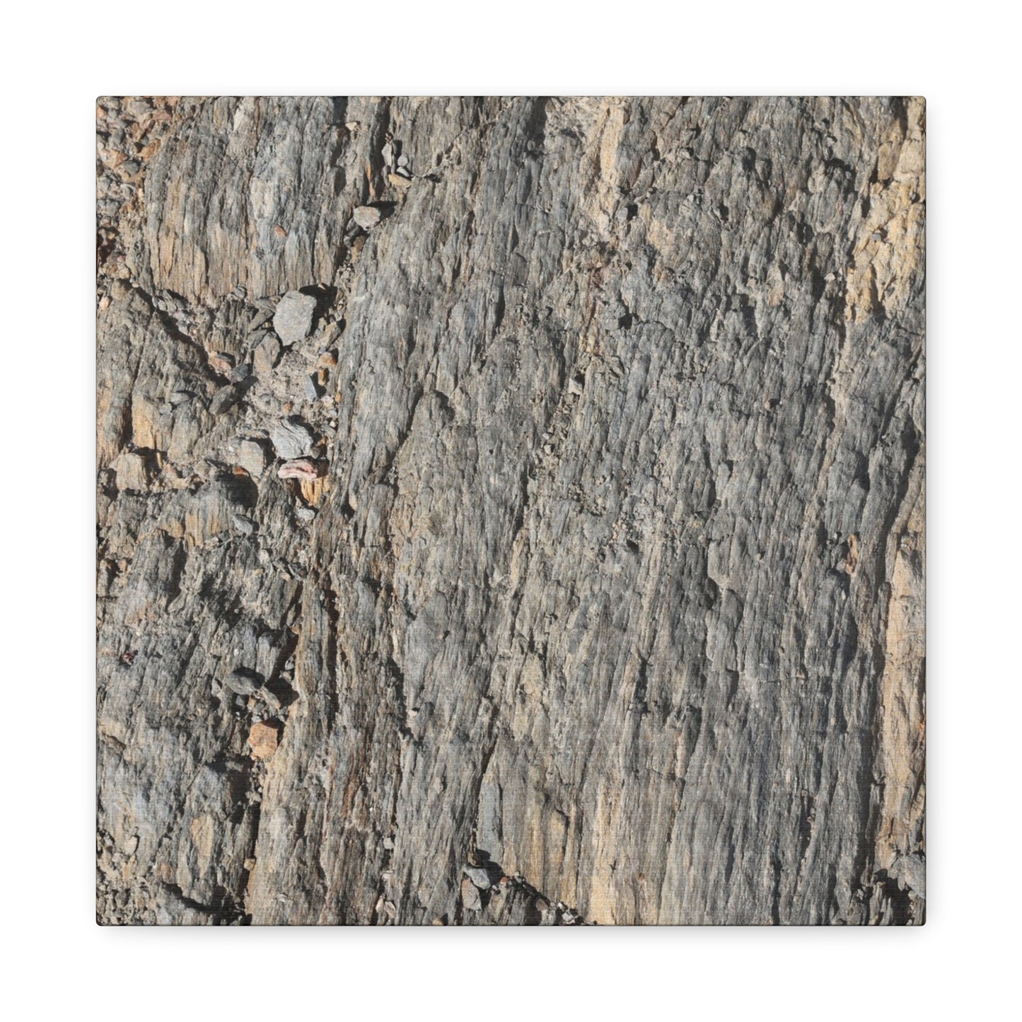 Bark Echoes - Unique Frameless Canvas Wall Art - Art By Earth