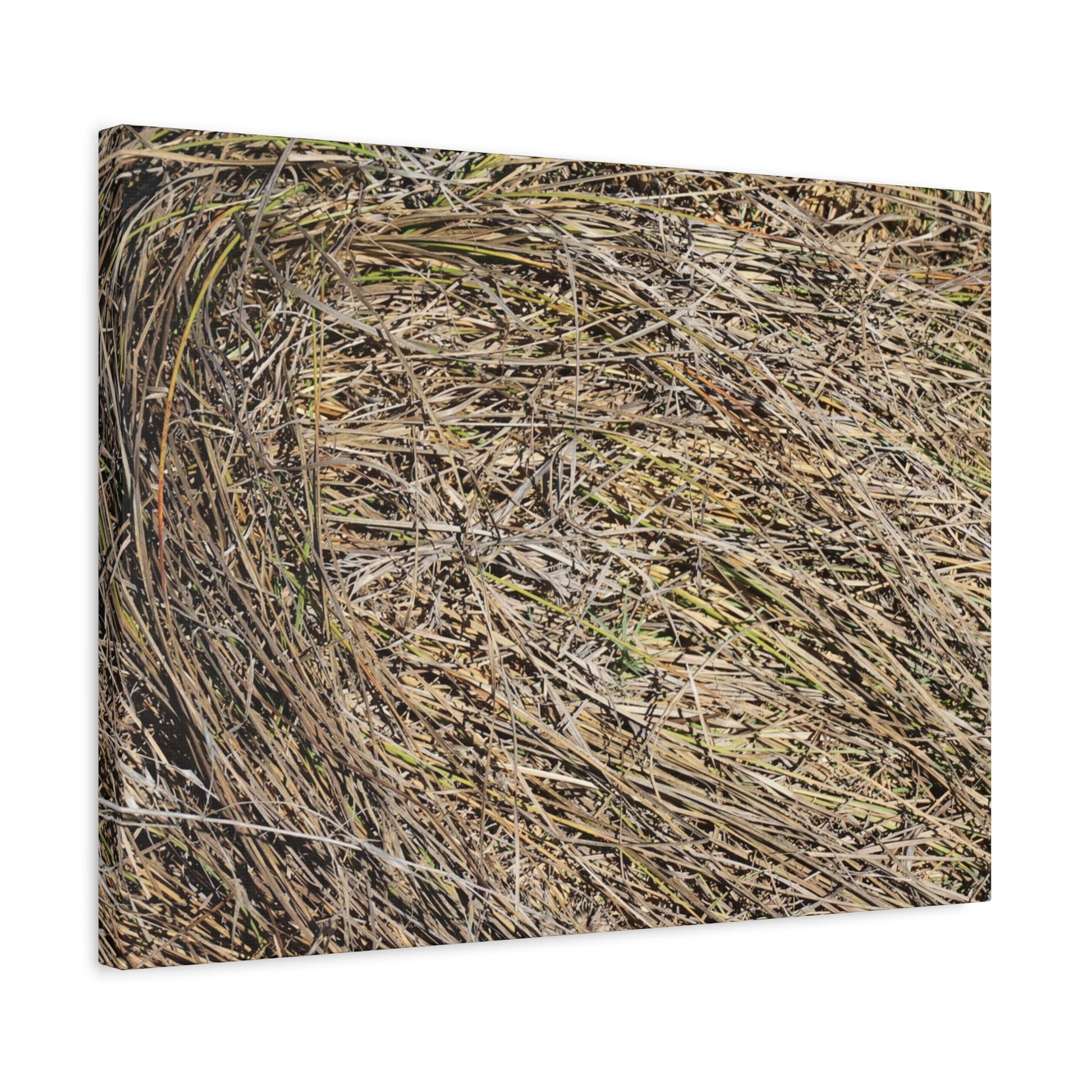 Tangled Hay - Unique Stretched Canvas Wall Art - Art By Earth