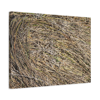 Tangled Hay - Unique Stretched Canvas Wall Art - Art By Earth