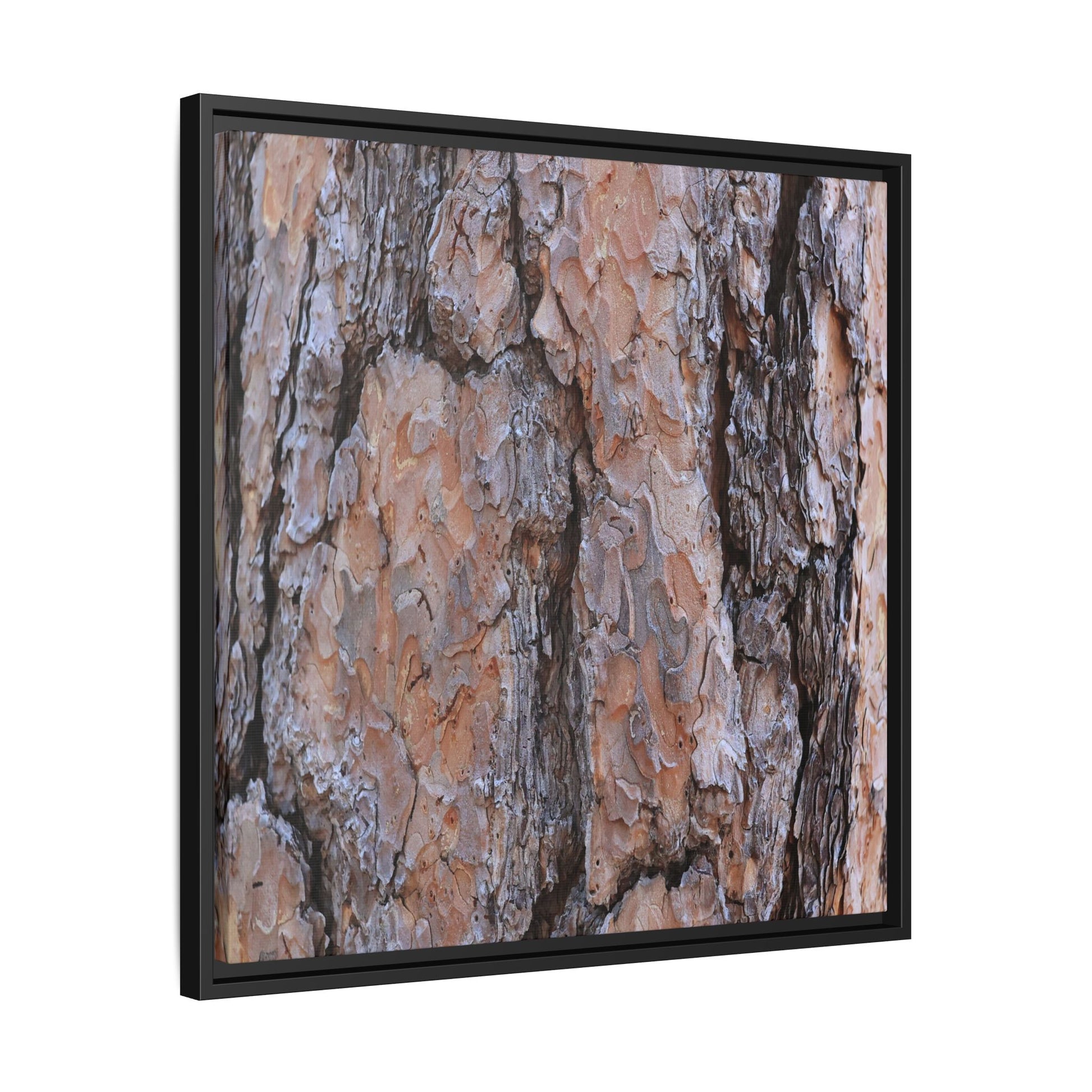 Tree Skin Symphony - Unique Stretched Canvas Wall Art - Art By Earth