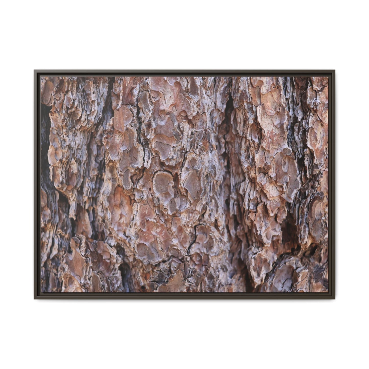 Woody Layers - Unique Stretched Canvas Wall Art - Art By Earth