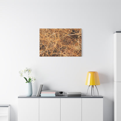 Dry Grass - Unique Frameless Canvas Wall Art - Art By Earth