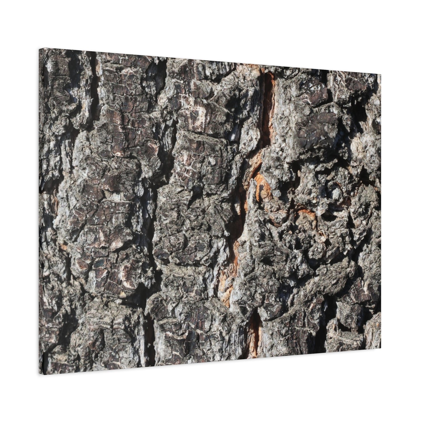 Arboreal Skin - Unique Frameless Canvas Wall Art - Art By Earth