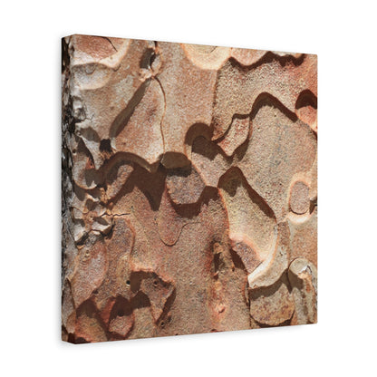 Terracotta Echoes - Unique Frameless Canvas Wall Art - Art By Earth