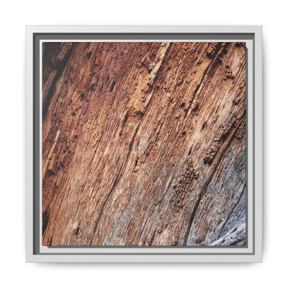 Time's Mark - Unique Stretched Canvas Wall Art - Art By Earth