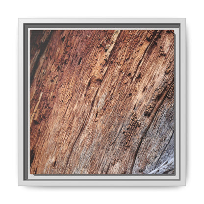 Time's Mark - Unique Stretched Canvas Wall Art - Art By Earth