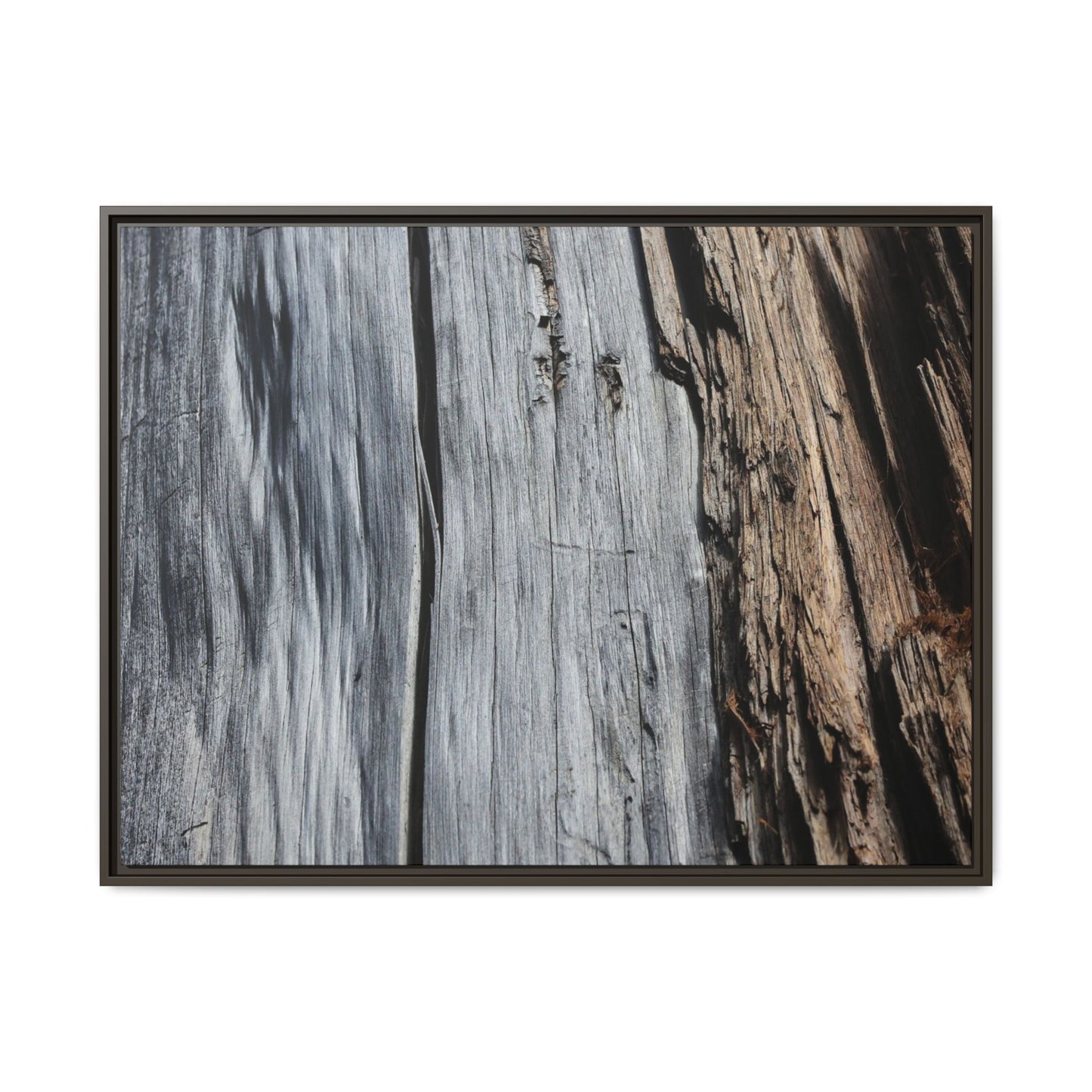 Wood's Lament - Unique Stretched Canvas Wall Art - Art By Earth