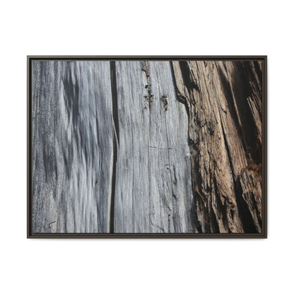 Wood's Lament - Unique Stretched Canvas Wall Art - Art By Earth
