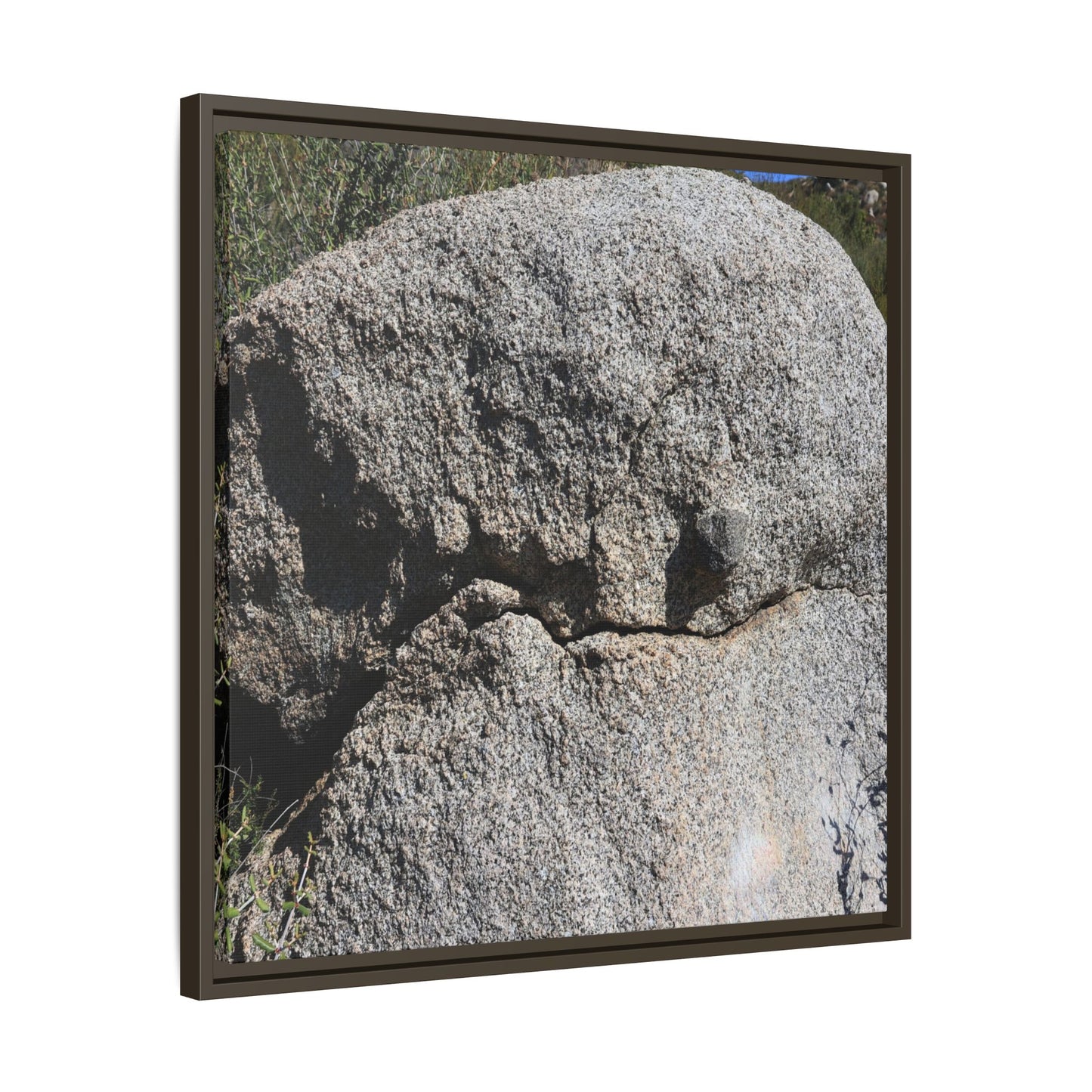 Stone Skull in Desert - Unique Stretched Canvas Wall Art
