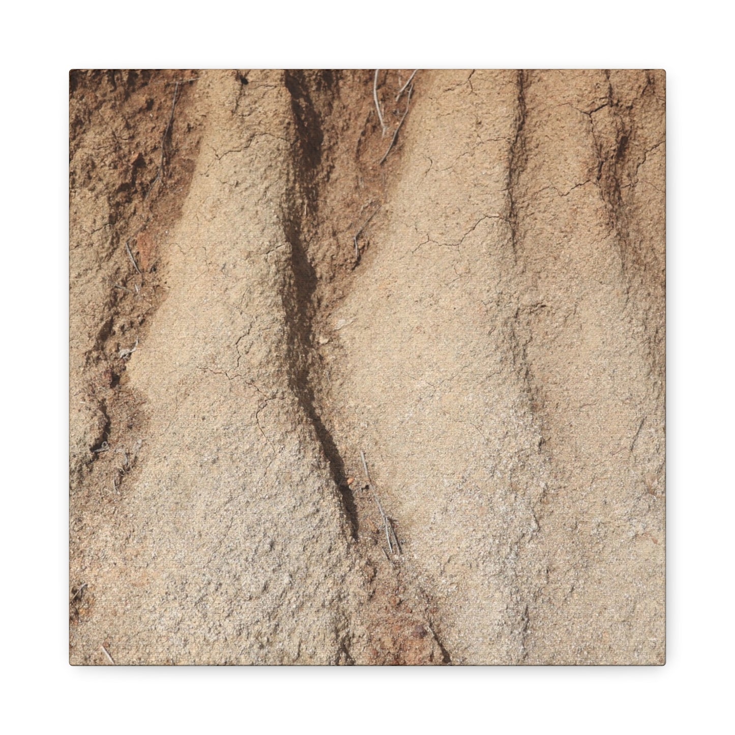 Weathered Earth - Unique Frameless Canvas Wall Art - Art By Earth