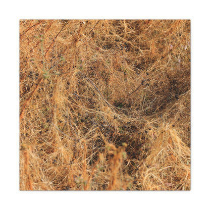 Dried Grasses - Unique Frameless Canvas Wall Art - Art By Earth