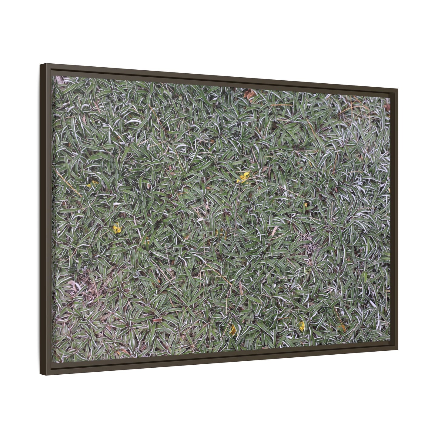 Grassy Texture - Unique Stretched Canvas Wall Art - Art By Earth