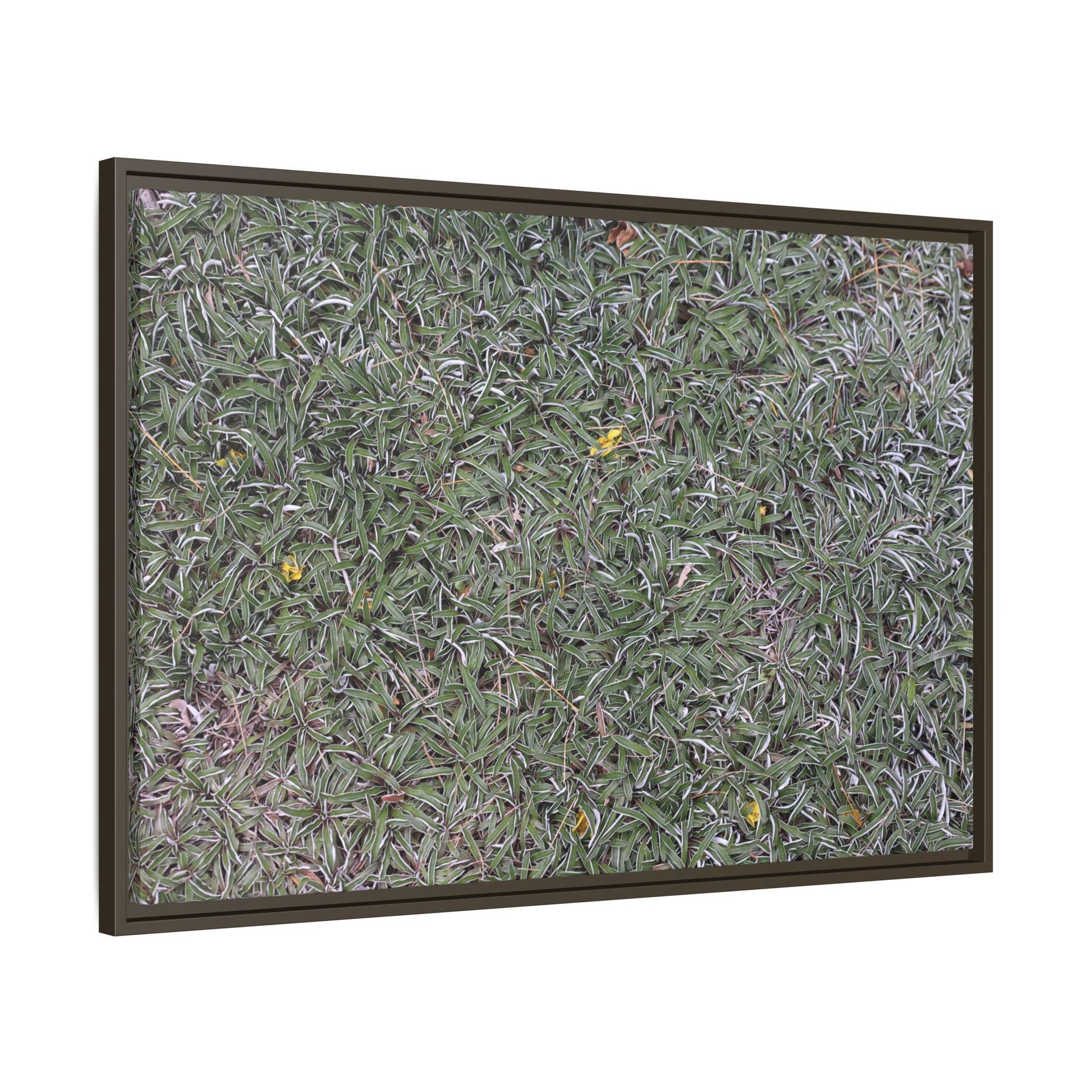 Grassy Texture - Unique Stretched Canvas Wall Art - Art By Earth