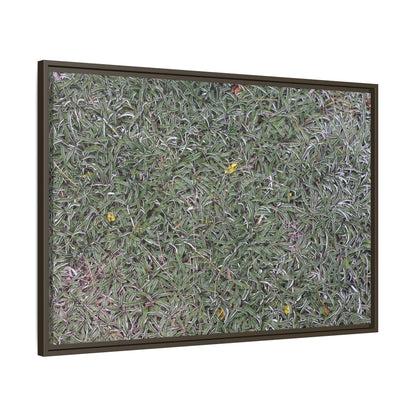 Grassy Texture - Unique Stretched Canvas Wall Art - Art By Earth