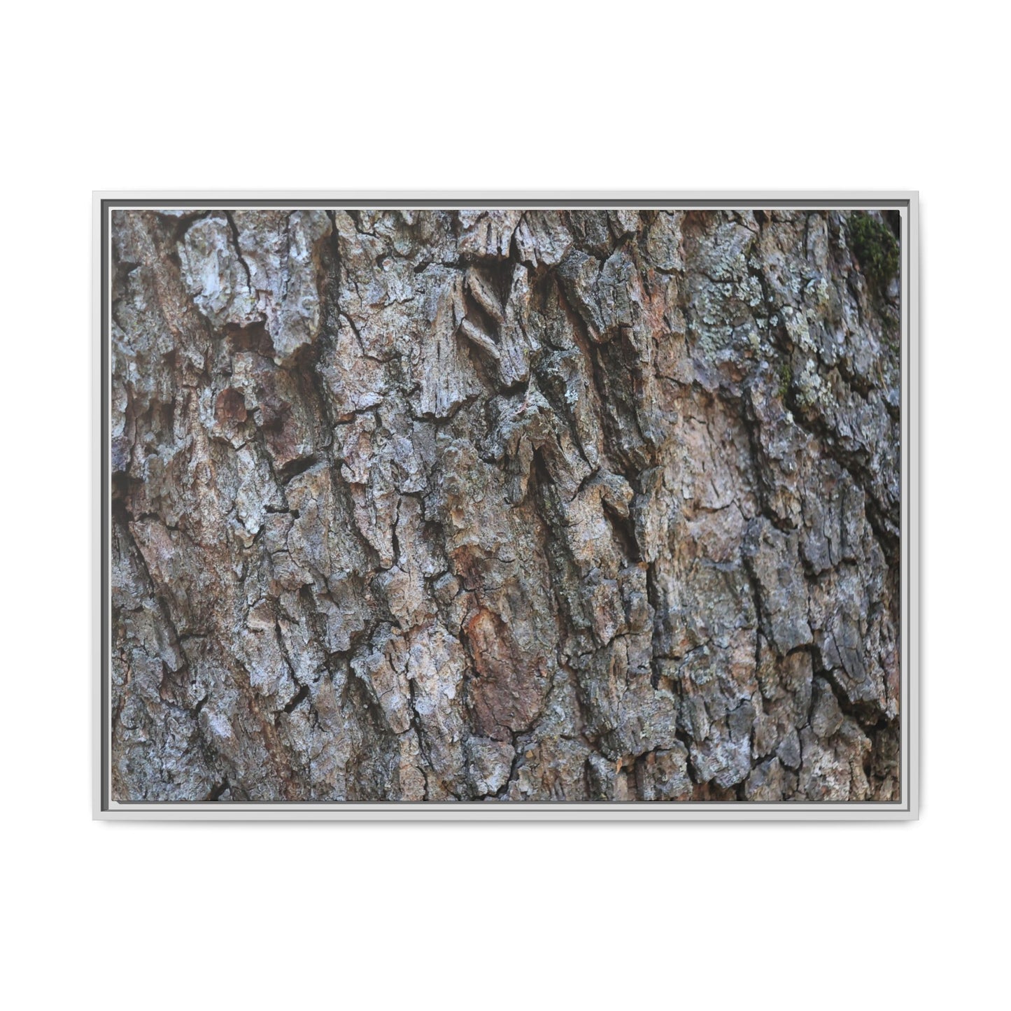 Woodland Skin - Unique Stretched Canvas Wall Art - Art By Earth