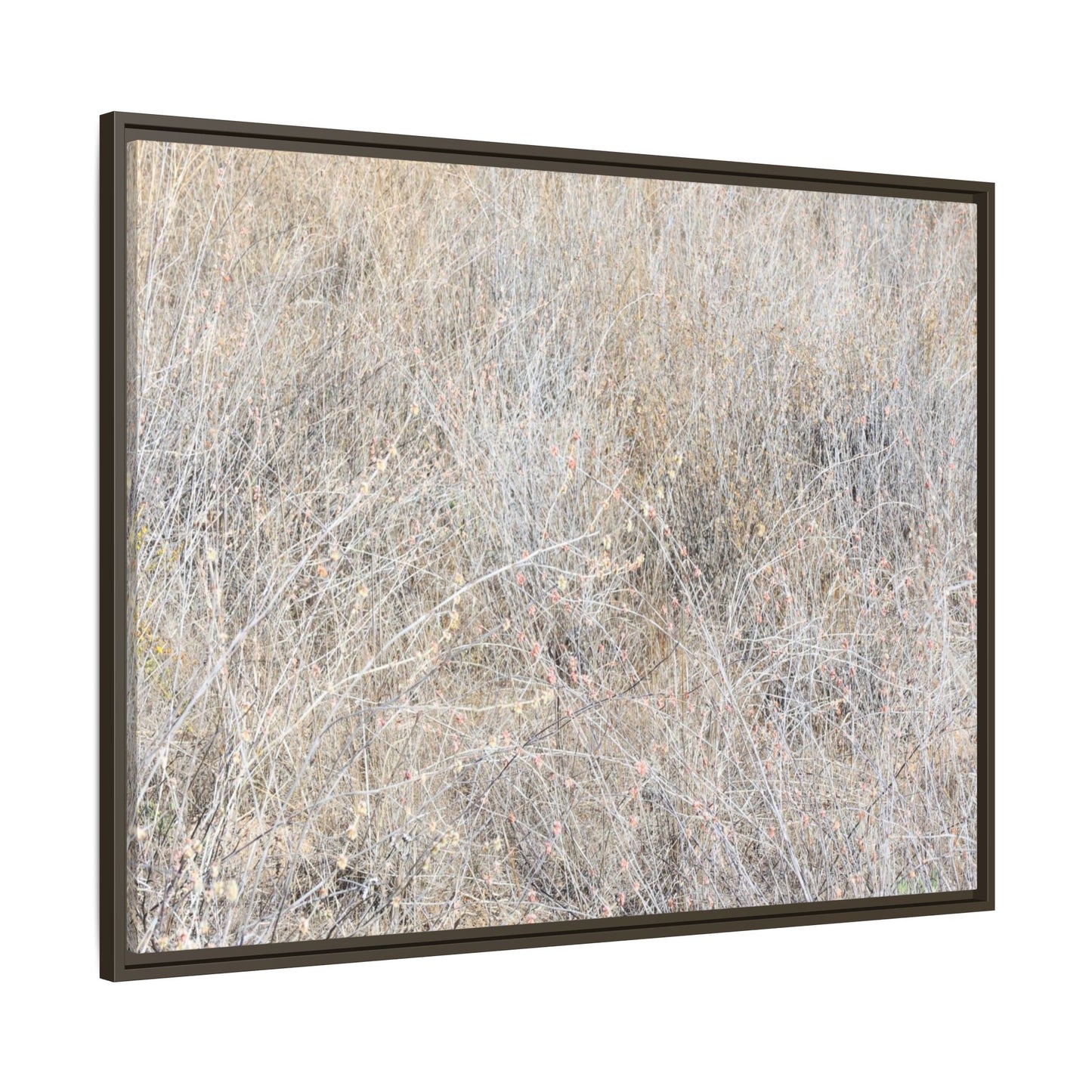 Whispers of Dry Grass - Unique Stretched Canvas Wall Art - Art By Earth